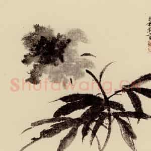 谢稚柳《水墨花卉》国画花鸟作品图片鉴赏