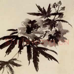 谢稚柳《水墨花卉》国画花鸟作品图片鉴赏