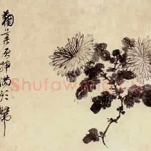 谢稚柳《水墨花卉》国画花鸟作品图片鉴赏