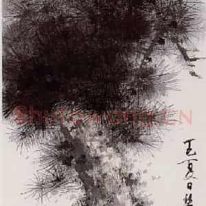 谢稚柳《松树》国画花鸟作品图片鉴赏