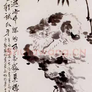 王云《猫石图》国画花鸟作品图片鉴赏
