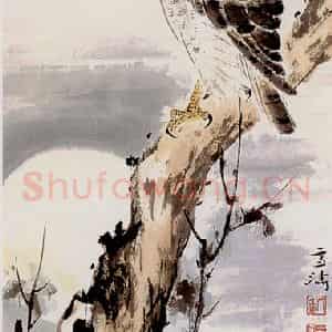 王雪涛《鹰》国画花鸟作品图片鉴赏