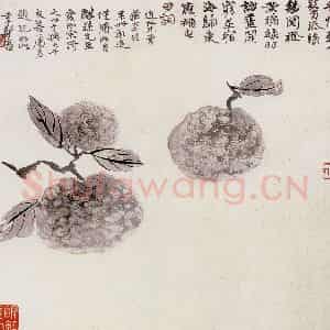 张大千《蔬果》国画花鸟作品图片鉴赏