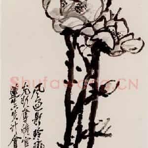 吴昌硕《玉兰》国画花鸟作品图片鉴赏