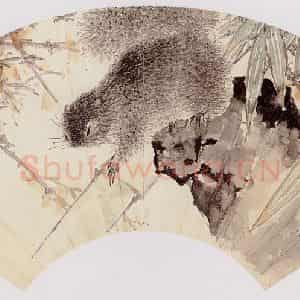 江寒汀《松鼠》国画花鸟作品图片鉴赏