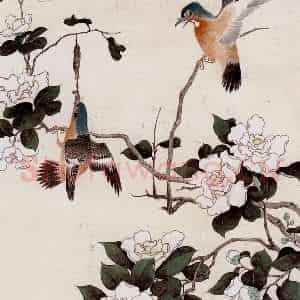 江寒汀《茶花双禽》国画花鸟作品图片鉴赏