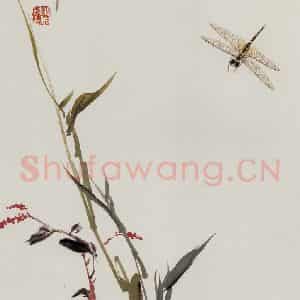 许鸿宾《红蓼蜻蜓》国画花鸟作品图片鉴赏