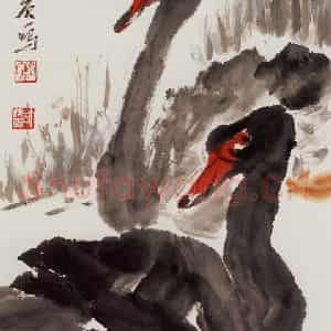 许鸿宾《黑天鹅》国画花鸟作品图片鉴赏