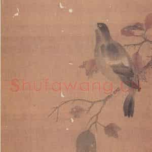 宋代 无款《花鸟草虫册》国画花鸟作品图片鉴赏