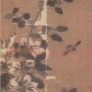 宋代 无款《花鸟草虫册》国画花鸟作品图片鉴赏