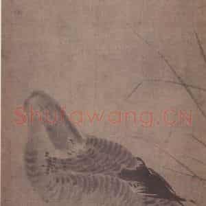 元代 无款《芦雁图轴》国画花鸟作品图片鉴赏