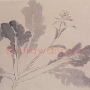 明代 沈周《观物之生图册(十二帧)》国画花鸟作品图片鉴赏