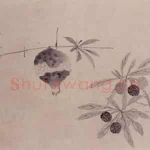 明代 沈周《观物之生图册》国画花鸟作品图片鉴赏
