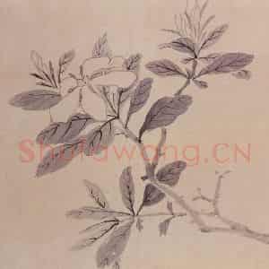 明代 沈周《观物之生图册》国画花鸟作品图片鉴赏