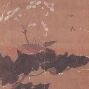 宋代 无款《花鸟草虫册(十二帧)》国画花鸟作品图片鉴赏