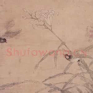 明代 无款《双鸟图页》国画花鸟作品图片鉴赏