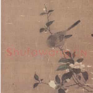 宋代 无款《花鸟草虫册》国画花鸟作品图片鉴赏
