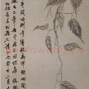 1923年 齐白石《贝叶秋蝉图》国画花鸟作品图片鉴赏