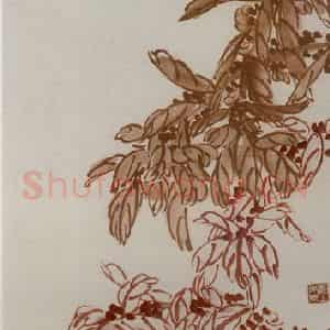 约20年代初期 齐白石《蝴蝶雁来红》国画花鸟作品图片鉴赏