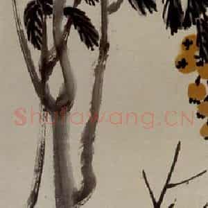 约20年代初期 齐白石《枇杷》国画花鸟作品图片鉴赏