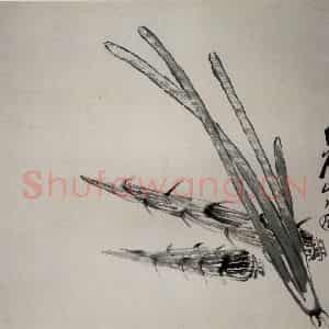 约20年代初期 齐白石《笋》国画花鸟作品图片鉴赏