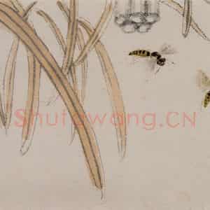 1924年 齐白石《草虫册页》国画花鸟作品图片鉴赏