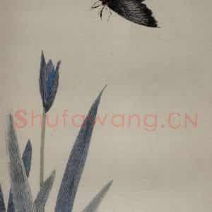 1920年 齐白石《草虫册页》国画花鸟作品图片鉴赏