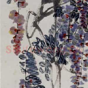 1927年 齐白石《紫藤八哥》国画花鸟作品图片鉴赏