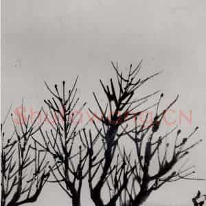 1921年 齐白石《山水册页》国画山水作品图片鉴赏