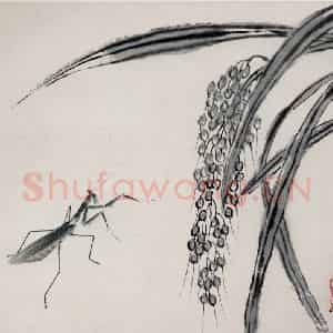 1945年 齐白石《花鸟虫草册页》国画花鸟作品图片鉴赏