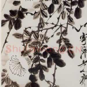 约40年代中期 齐白石《鸟子藤》国画花鸟作品图片鉴赏