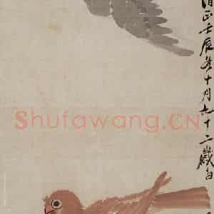 齐白石《鸽子》国画花鸟作品图片鉴赏