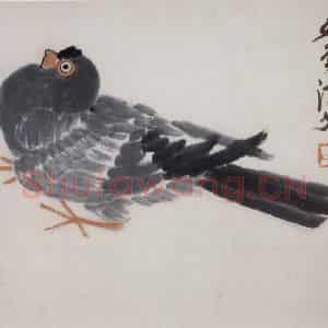 齐白石《鸽》国画花鸟作品图片鉴赏