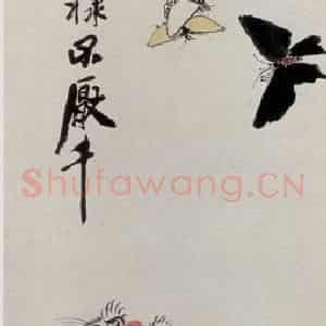 齐白石《猫蝶图》国画花鸟作品图片鉴赏