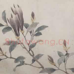 明代 沈周《墨菜辛夷图卷》国画花鸟作品图片鉴赏