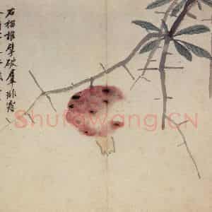 明代 沈周《卧游图册》国画花鸟作品图片鉴赏