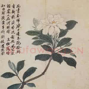 明代 沈周《卧游图册》国画花鸟作品图片鉴赏