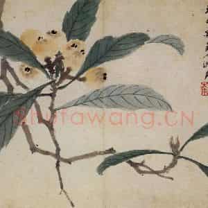 明代 沈周《卧游图册》国画花鸟作品图片鉴赏