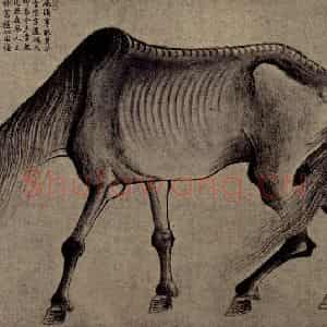 元代 龚开《骏马图卷》国画花鸟作品图片鉴赏