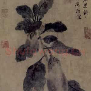 明代 孙克弘《紫茄图轴》国画花鸟作品图片鉴赏