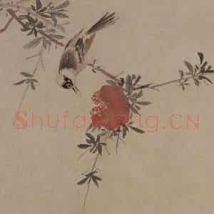 明代 周之冕《榴枝白头图页》国画花鸟作品图片鉴赏