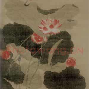 清代 刘察《荷花图轴》国画花鸟作品图片鉴赏