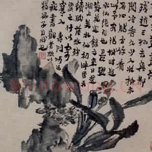 清代 金农《水仙秀石图页》国画花鸟作品图片鉴赏