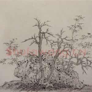 清代 王宸《枯树竹石图页》国画山水作品图片鉴赏