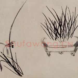 清代 郑燮《兰蒲图页》国画花鸟作品图片鉴赏