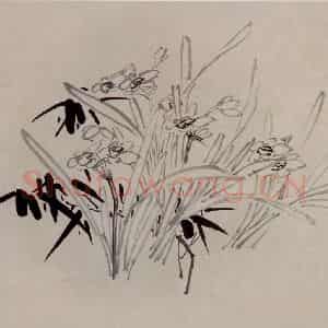 清代 李方膺《寒香晚翠图页》国画花鸟作品图片鉴赏