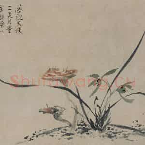 清代 罗聘《灵芝兰花图页》国画花鸟作品图片鉴赏