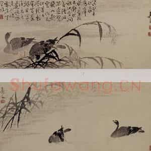 清代 边寿民《芦雁图页》国画花鸟作品图片鉴赏