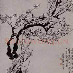 清代 汪士慎《梅花图轴》国画花鸟作品图片鉴赏