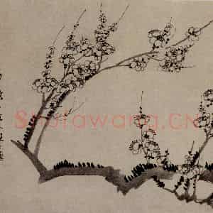 清代 汪士慎《梅花图页》国画花鸟作品图片鉴赏